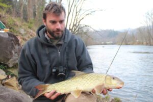 Moxostoma ugidatli, Sicklefin Redhorse, Tuckasegee River, Photograph Courtesy of Tim Aldridge