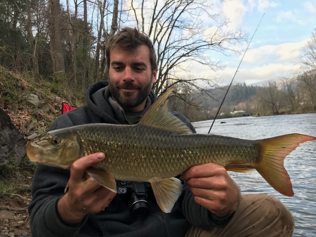 Moxostoma ugidatli, Sicklefin Redhorse, Tuckasegee River, Photograph Courtesy of Tim Aldridge