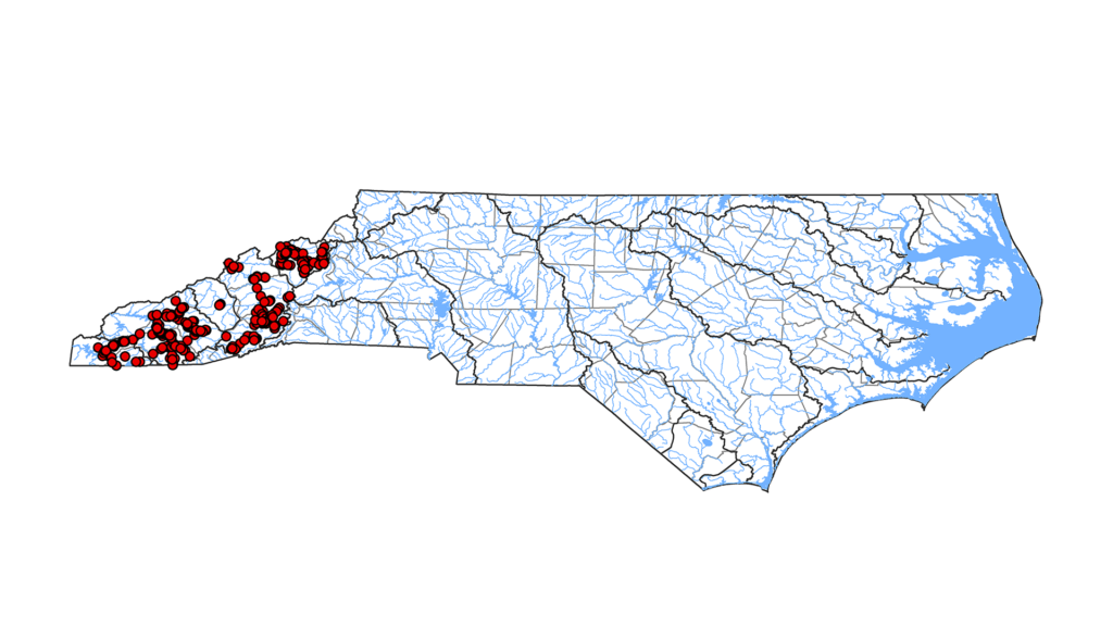 Percina versicolor, Russet Darter, Distribution Within North Carolina (Tracy et al. 2024).
